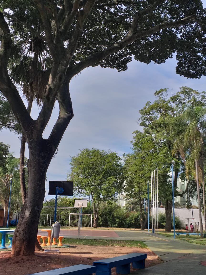 Estudantes da Escola Coopep em atividade em grupo com mediação do professor