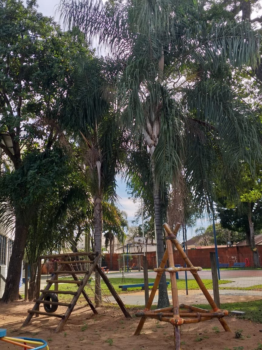 Casinha de madeira e brinquedos entre as árvores do parque da Escola Coopep