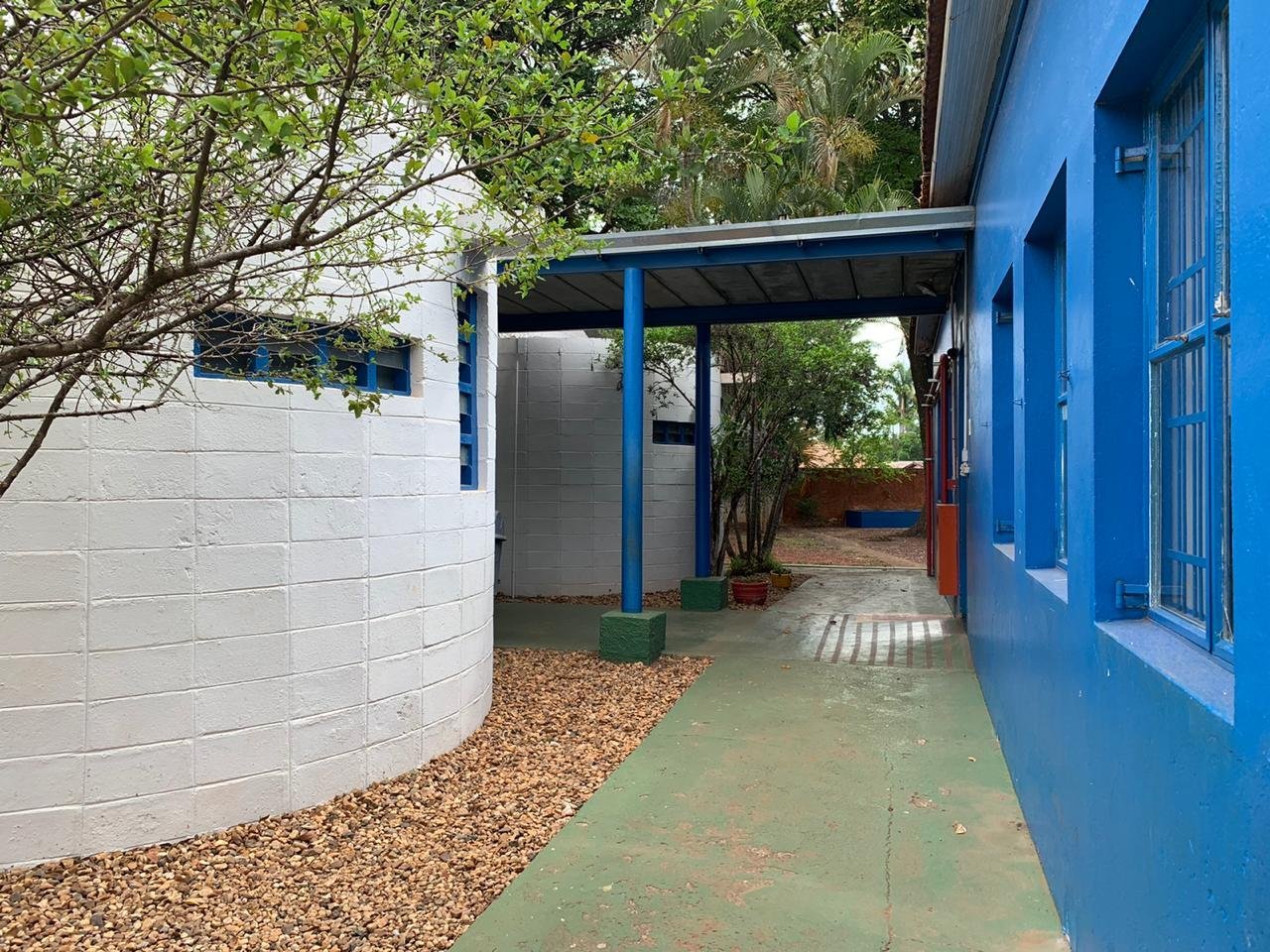 Área externa arborizada da Escola Coopep, com árvores e quadra ao fundo, em Piracicaba