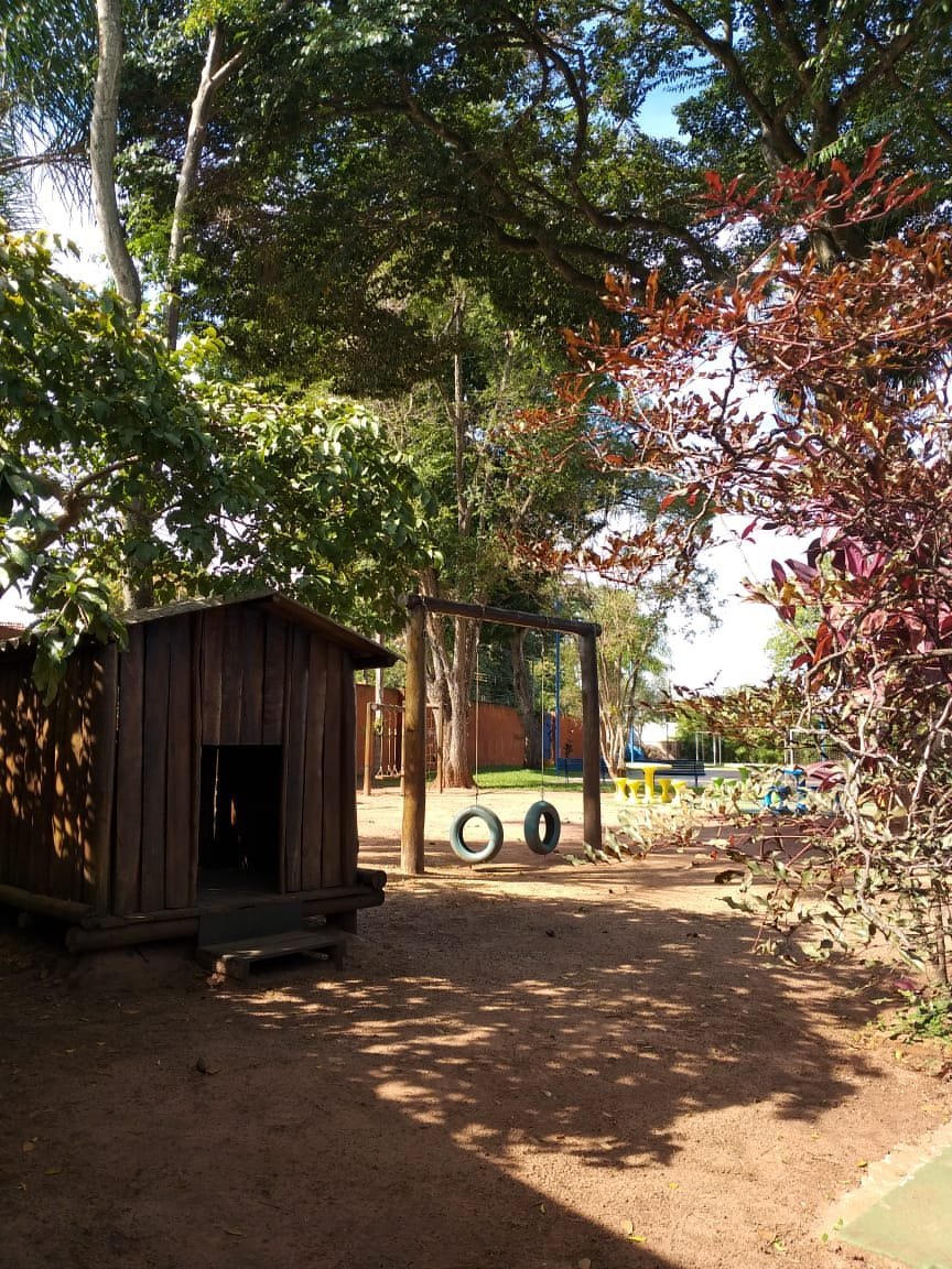 Gangorra e parque de areia sob as árvores no pátio da Escola Coopep